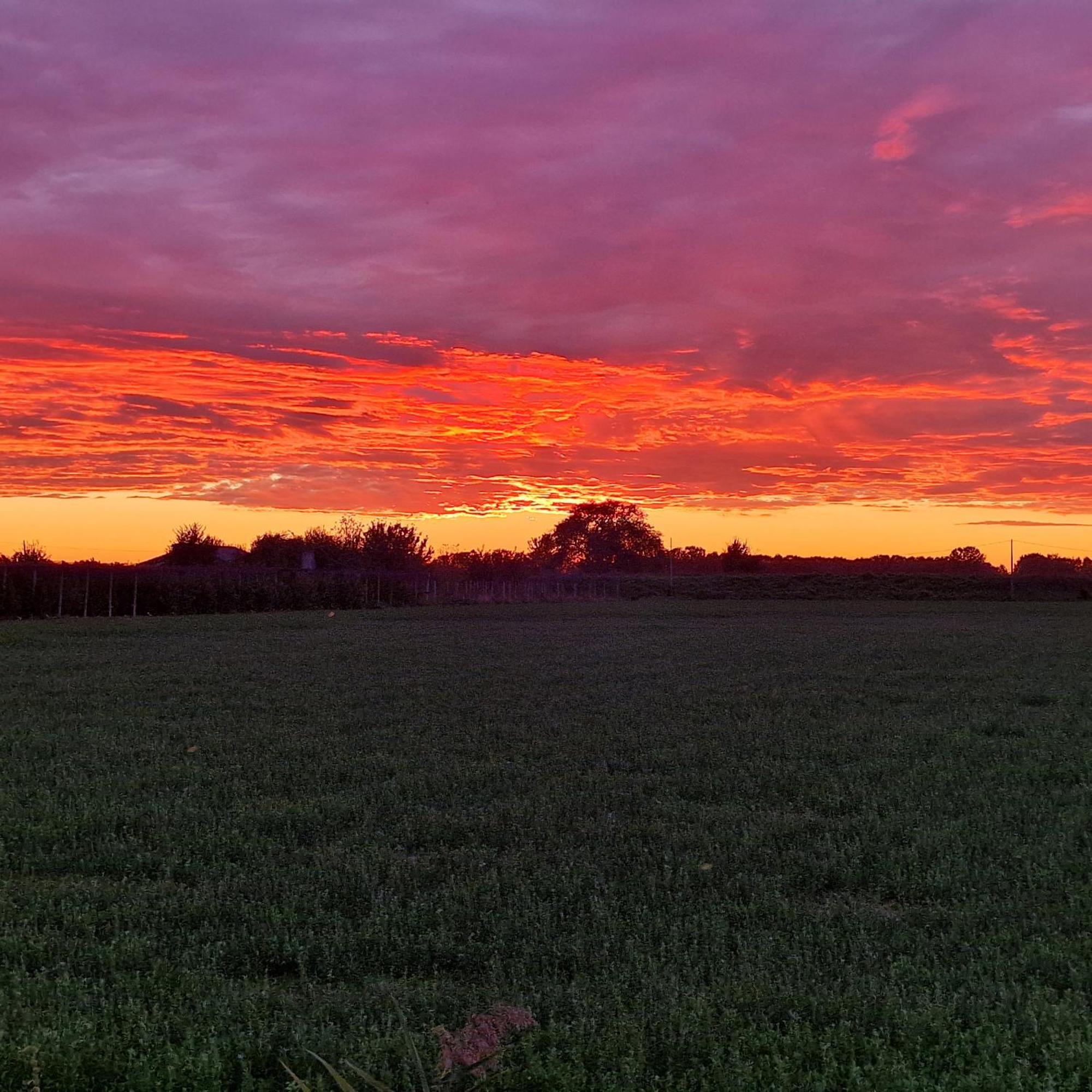 Appartamento Divino Tramonto Altedo Exterior foto